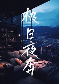 极夜 小说